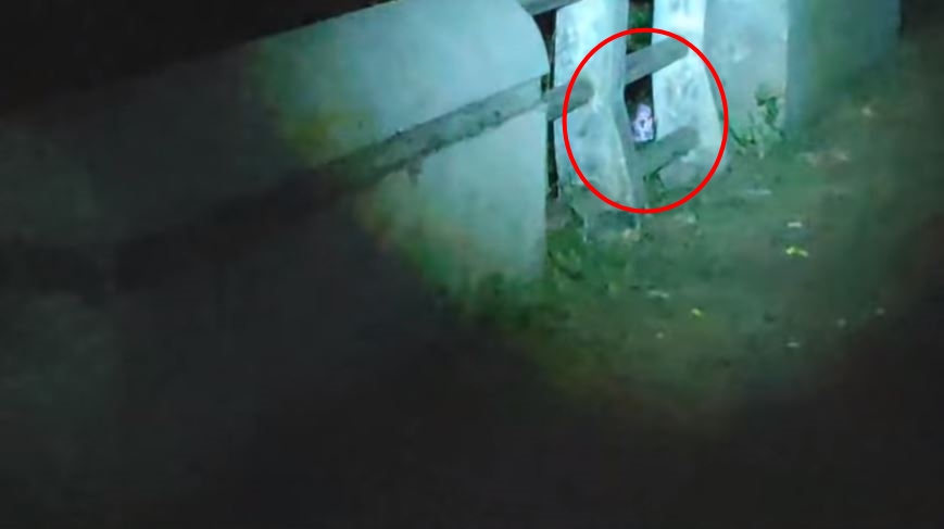 91+ Gambar Hantu Paling Seram Sekali HD Terbaik