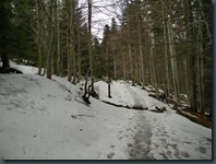 DSCN6356