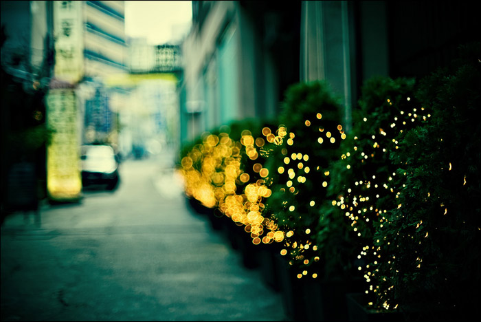 amazing bokeh by mister bokeh