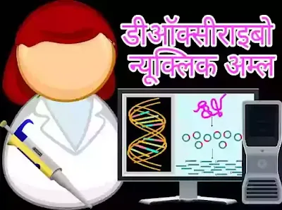 Deoxyribonucleic Acid - (DNA)