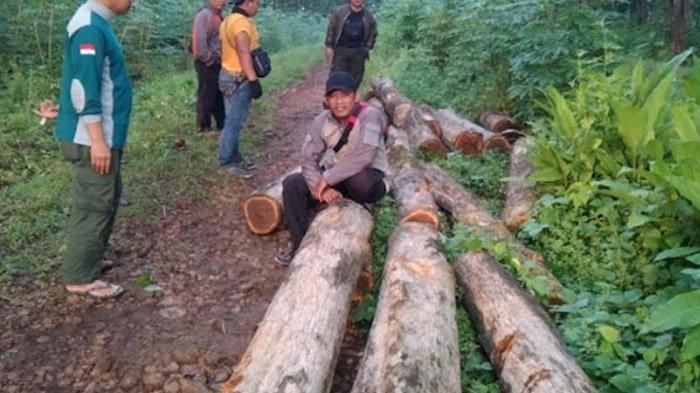 Kawanan Pencuri Kayu Jati di Magetan Kepergok Petugas, Kabur Tinggalkan Motor dan Barang Bukti