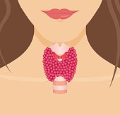 Expert Insights on Thyroid and Weight Gain in Women