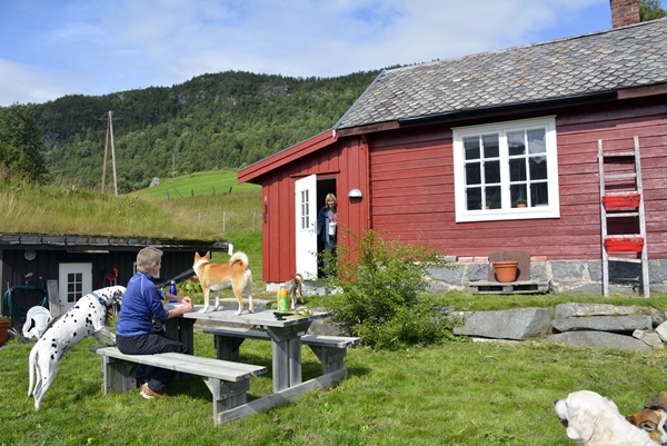 hallingdal Vats