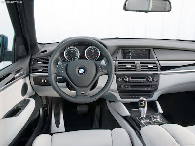 2010 BMW X5 M