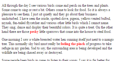 short essay on birds