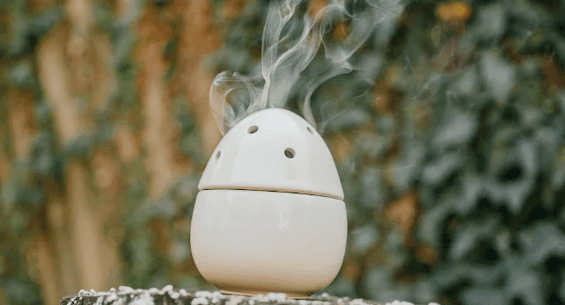 Best Humidifiers in the Philippines