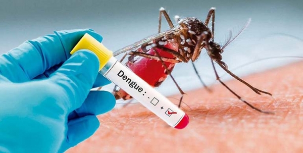 Los Casos de Dengue de Palpalá, ¿Son de Palpalá?