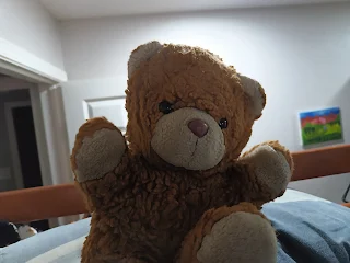 A stuffed bear.