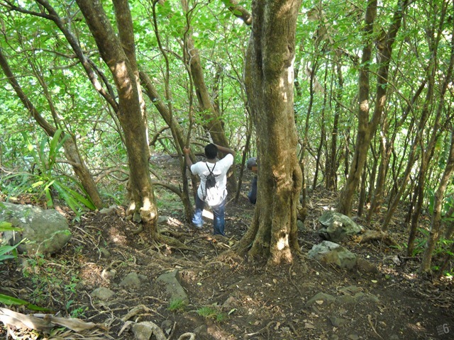DSCN5090