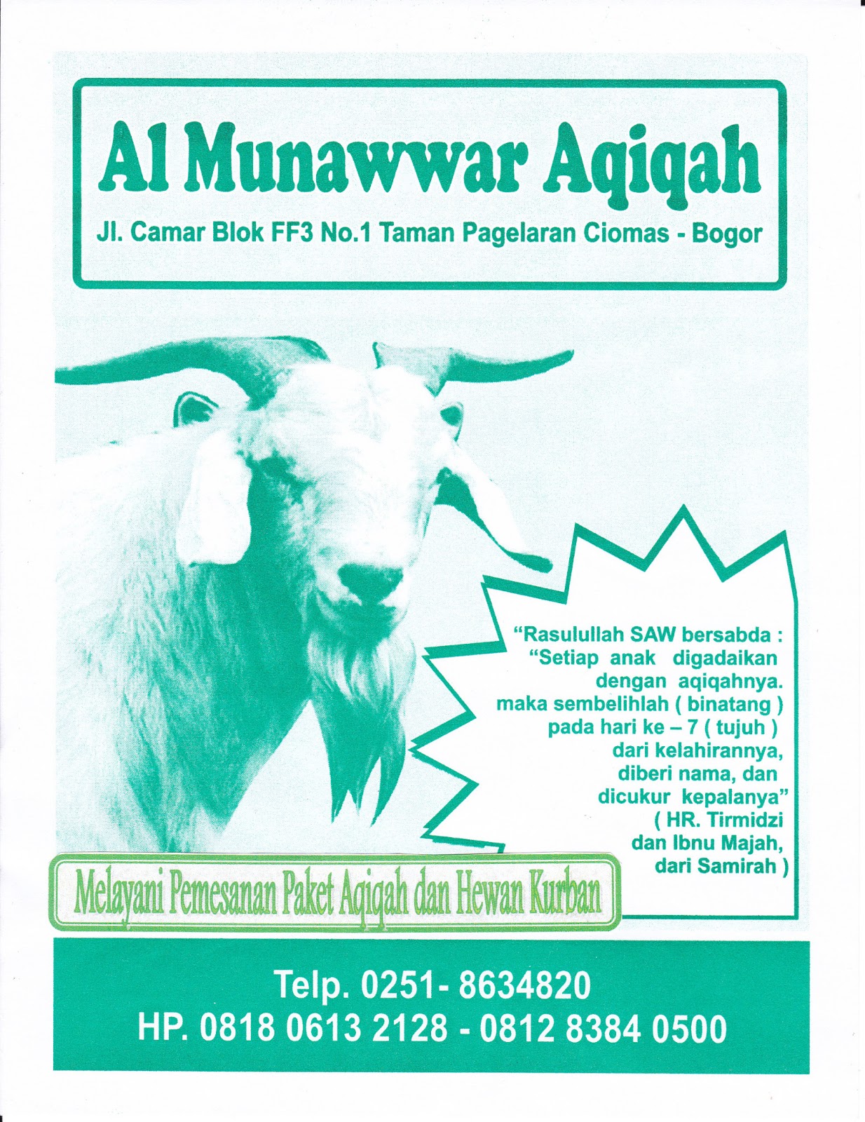 Al Munawwar Aqiqah
