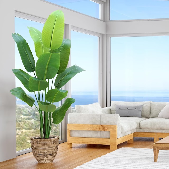 Why Choose an Artificial Bird of Paradise Plant?