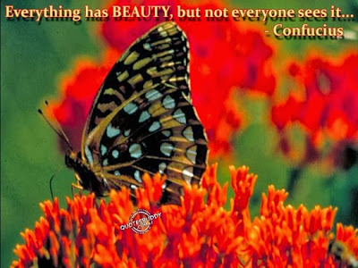 Beauty-photo-Quotes