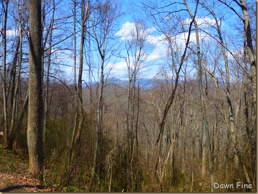 cucumber gap loop (82)