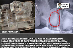 Ini Loh Bun Cara Mudah Membedakan Es Batu Dari Air Mentah dan Air Matang