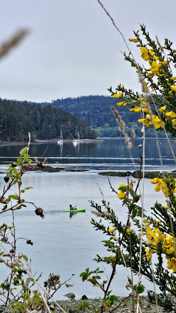 Boats, green kayak, yellow flowers, Bay