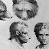 7 gambaran wajah hewan mirip manusia