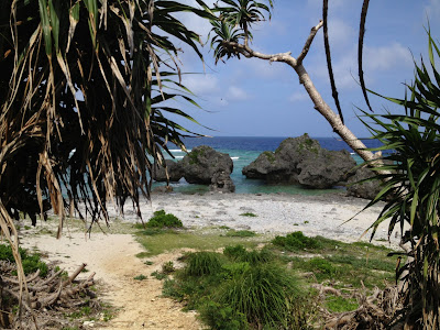 体験/観光　沖縄修学旅行　体験プログラム