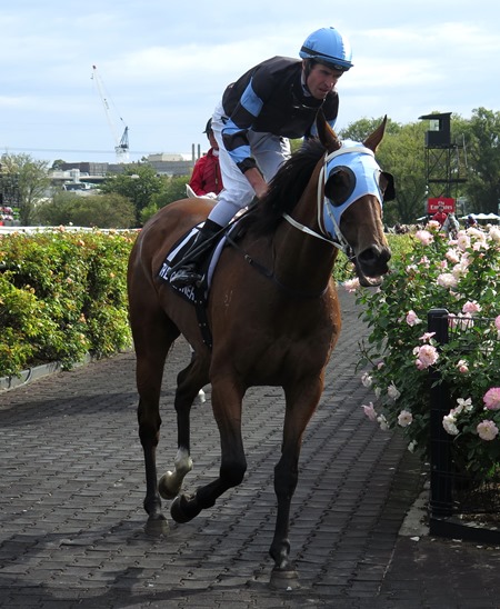aus cup_the cleaner 5