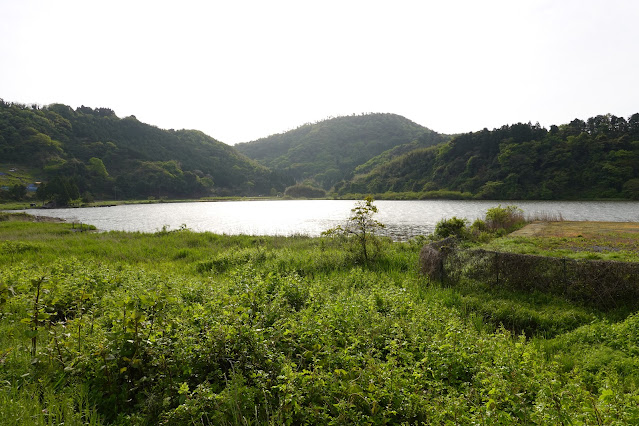 鳥取県東伯郡湯梨浜町南谷 東郷羽合線からの眺望