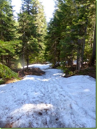 ALASKA 2014 Mt. Hood Scenic Byway-008