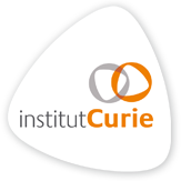 http://curie.fr/fondation