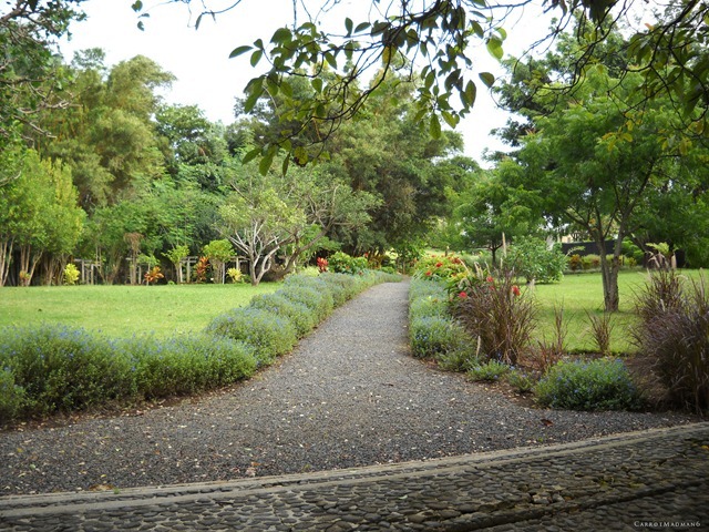 DSCN3174