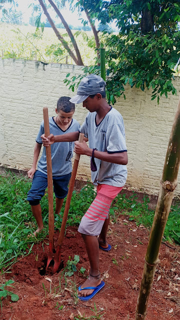 As aulas são articuladas ao Projeto de Vida dos estudantes assentados e acampados, pois estimulam ainda mais a agricultura familiar, com benefício de fazer escolhas naturais e sustentáveis. Os estudantes aprendem práticas corretas de plantio, cultivo e extração da bucha; momentos que vem proporcionando diversos benefícios para a saúde, para o meio ambiente e para o empreendedorismo dos estudantes.