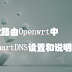 软路由Openwrt中smartDNS设置和说明
