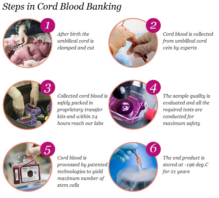 http://www.cryobanksindia.com/banking-benefits/steps-in-cord-blood-banking/