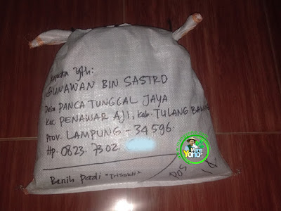 Benih pesanan  GUNAWAN BIN SASTRO Tulang Bawang, Lampung  (Setelah Packing)