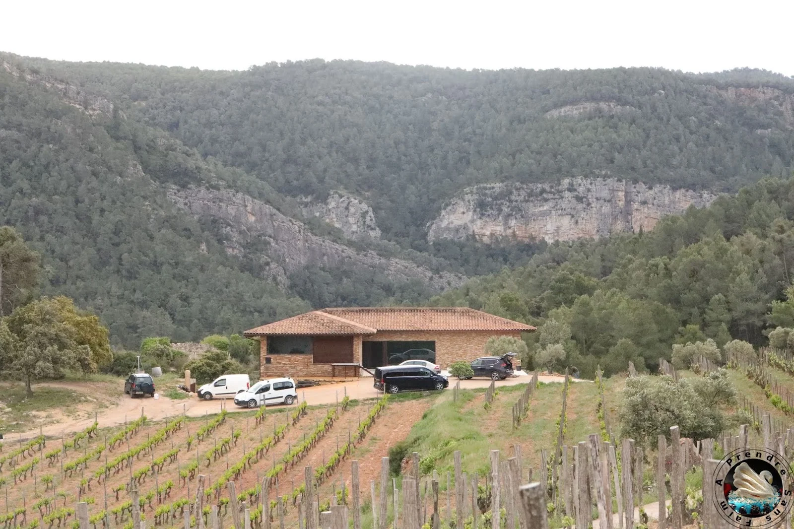 Visite et dégustation de vins à Vinyes Domènech - Capçanes