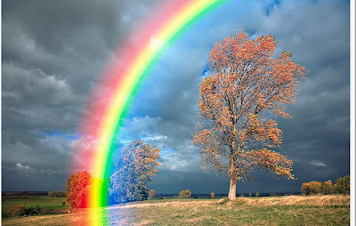 Rainbow Photo