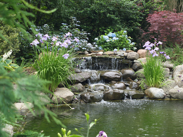 Pond Garden 2