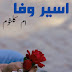 NOVEL : ASEER E WAFA, AUTHOR: UMM E KULSOOM COMPLETE...