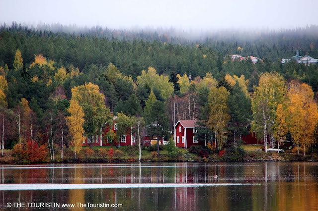 Red wooden houses in a forest on the shore of a lake under an overcast sky with low hanging clouds.