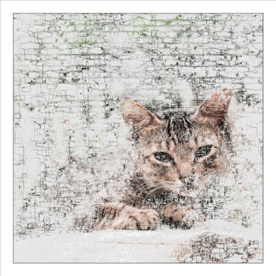 A generative art with cat photo that uses Vector Field method.