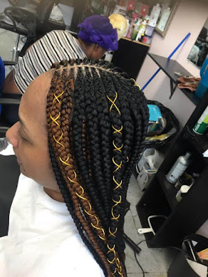 33 Fulani Tribal Braids Ponytail Hairstyles for Black Hair In Style 2019