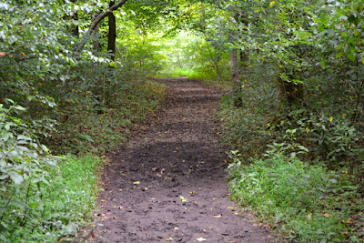 Mammoth Cave Trail