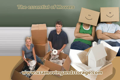 The essential of Movers