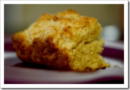 biscuit