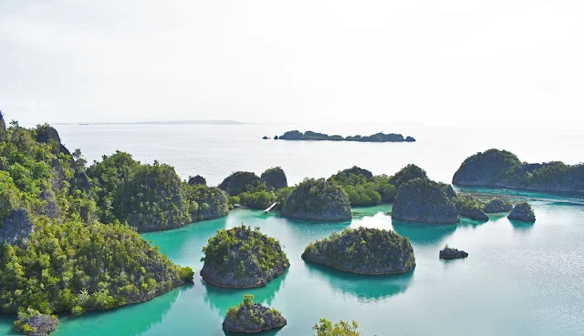 Pyanemo, Raja Ampat