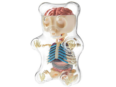 The Gorgeously Creepy Gummi Bear Skeleton Anatomy Puzzle Model Kit
