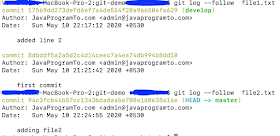 git log to see the commits for a specific file
