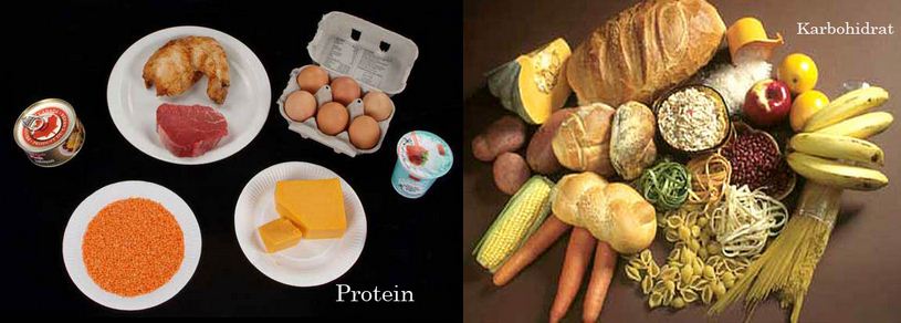 Pengertian Dan Fungsi Karbohidrat Protein Lemak Vitamin Mineral Dan Air