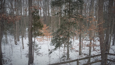 Snow in Virginia.
