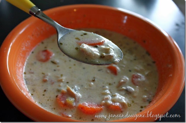 Creamy Chicken Soup_5