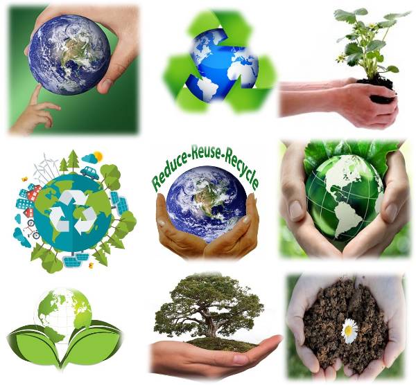 World Environment Day logos, symbols, and colours