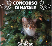 Sanicat concorso di Natale 2020 : vinci gratis scorta di lettiera per 2 mesi