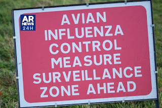 Um sinal de alerta para a gripe aviária