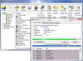 Internet Download Manager Screen 1